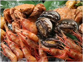 하코다테 바다의 맛